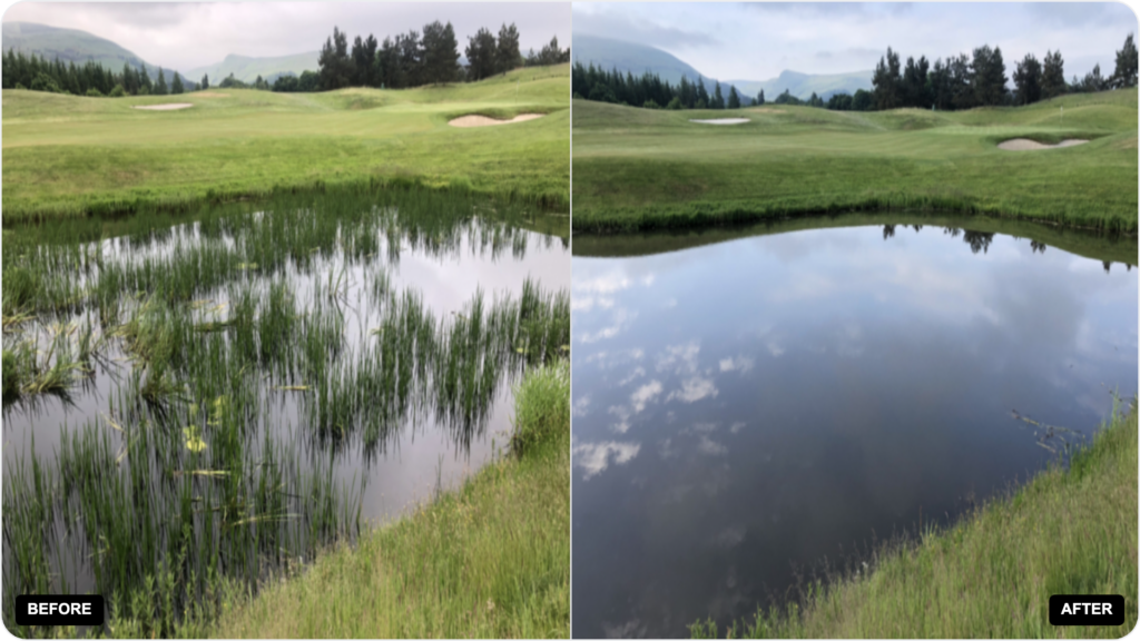 Before and After Milfoil Removal for Lakes - Milfoil Mercenaries - Washington Milfoil Removal