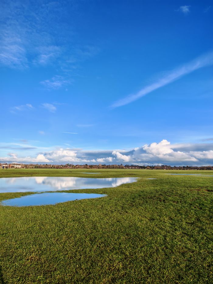 Beautiful open field with clear blue sky and pond reflection.